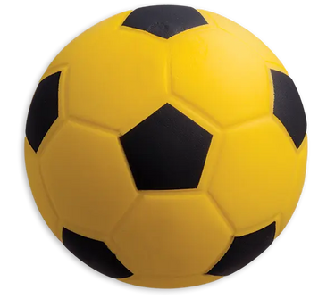 Coated High-Density Foam Soccer Ball Champion Sports